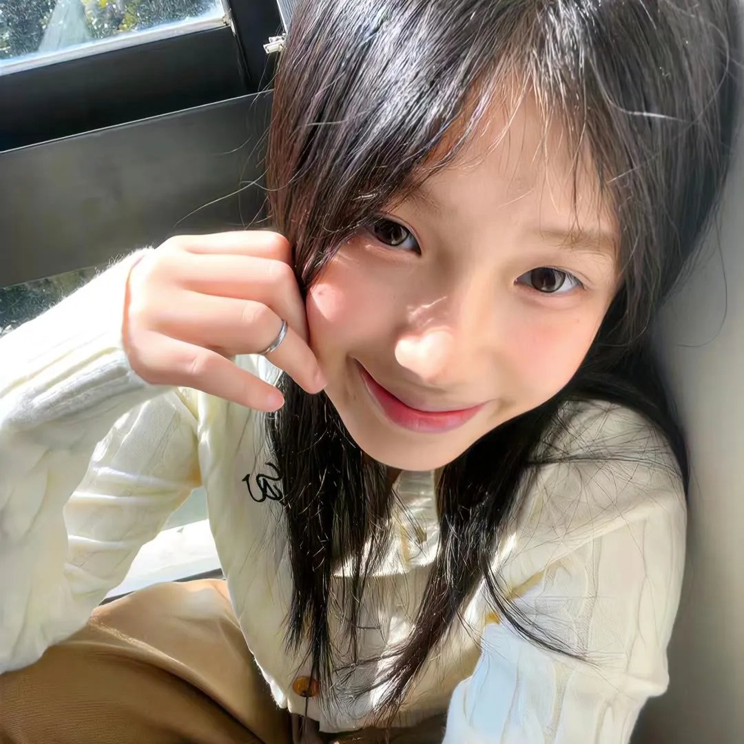 假元首秘纪